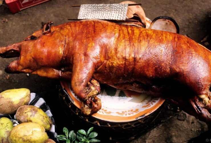 Arti Mimpi Daging Babi: Tafsir, Makna Psikologis, dan Pesan yang Perlu Anda Pahami